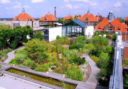 Zelené strechy: Aké je ich rozdelenie a čím vynikajú?